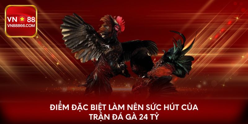 Điểm đặc biệt làm nên sức hút của trận đá gà 24 tỷ