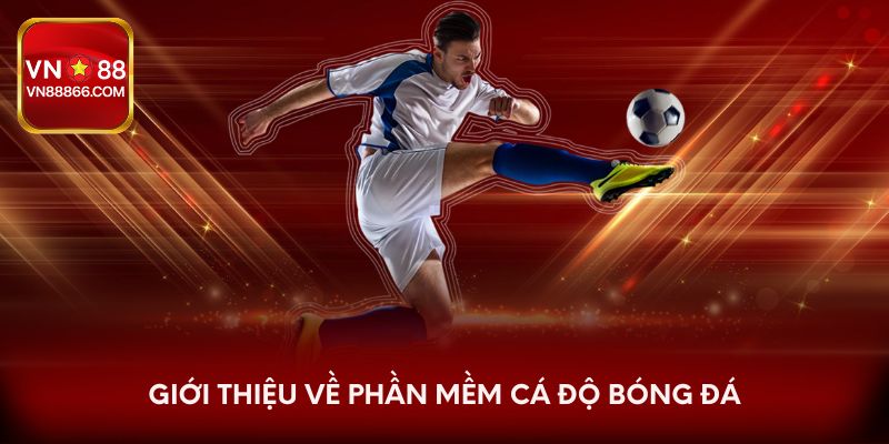 Giới thiệu về phần mềm cá độ bóng đá