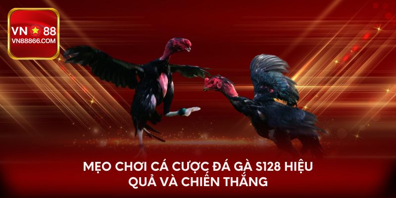 Mẹo chơi cá cược đá gà S128 hiệu quả và chiến thắng
