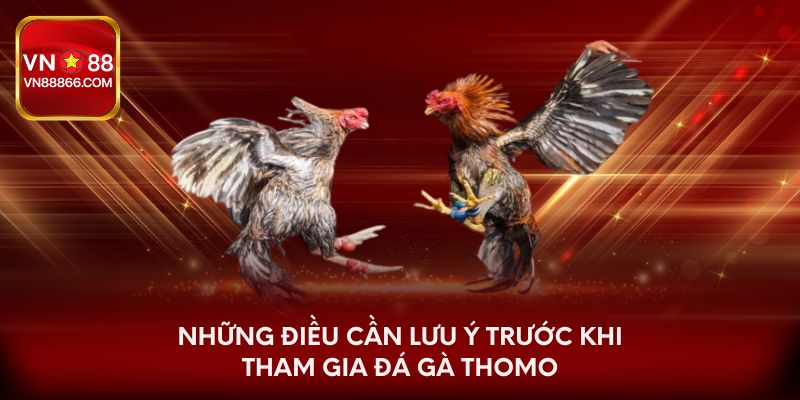 Những điều cần lưu ý trước khi tham gia đá gà Thomo