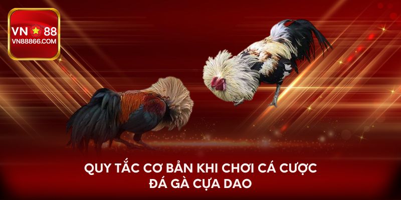 Quy tắc cơ bản khi chơi cá cược đá gà cựa dao