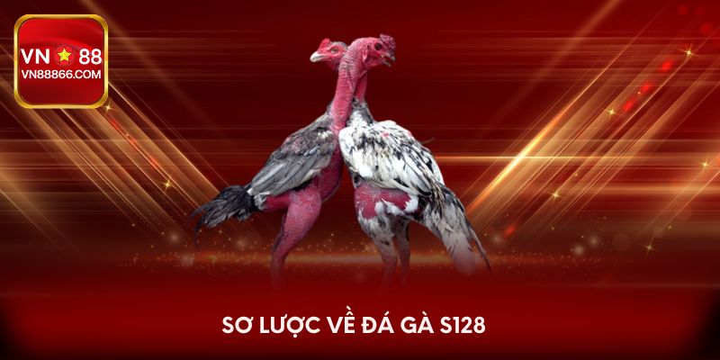 Sơ lược về đá gà S128