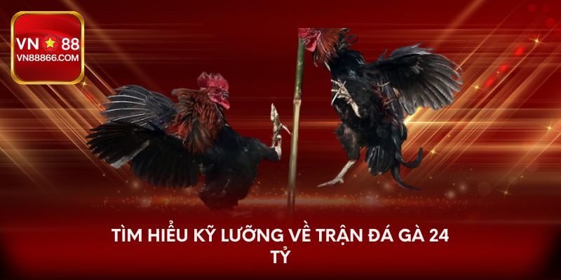 Tìm hiểu kỹ lưỡng về trận đá gà 24 tỷ