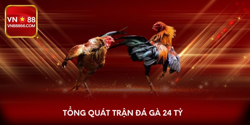 Tổng quát trận đá gà 24 tỷ